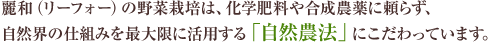 麗和（リーフォー）の野菜栽培は、化学肥料や合成農薬に頼らず、自然界の仕組みを最大限に活用する「自然農法」にこだわりを持っています。