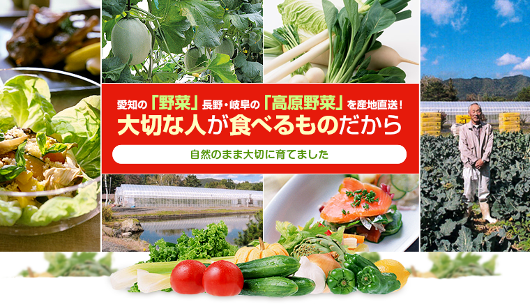 愛知の「野菜」長野・岐阜の「高原野菜」を産地直送！大切な人が食べられるものだから